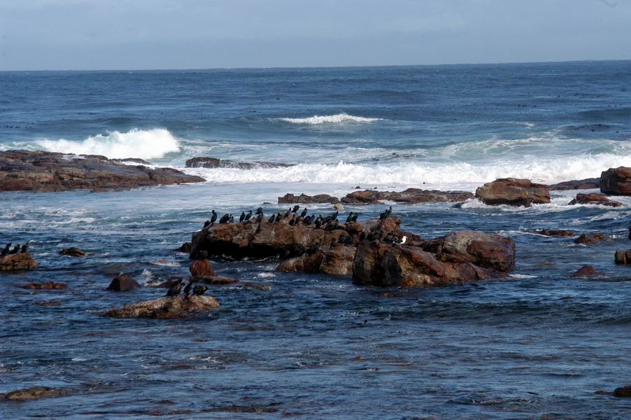 Cape of Good Hope