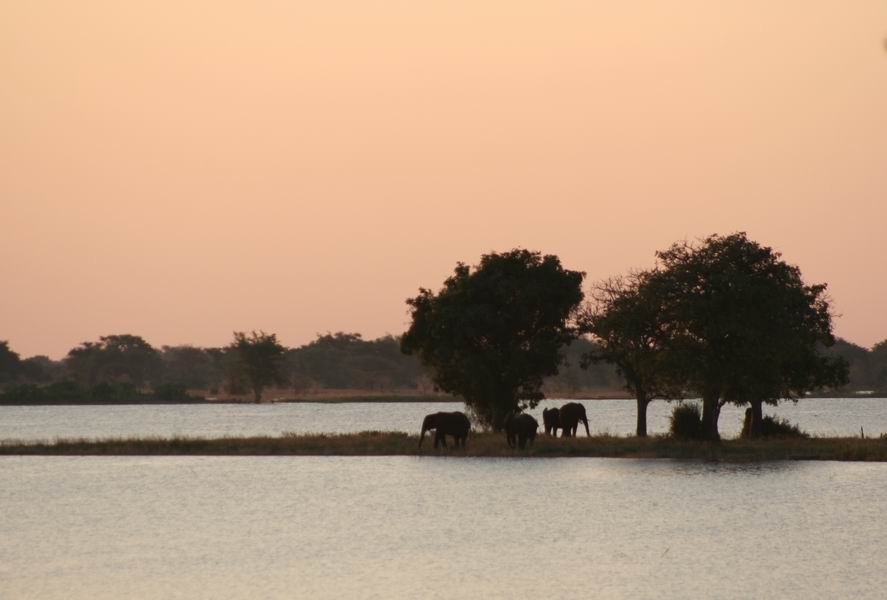 Chobe Sunset, with elephants