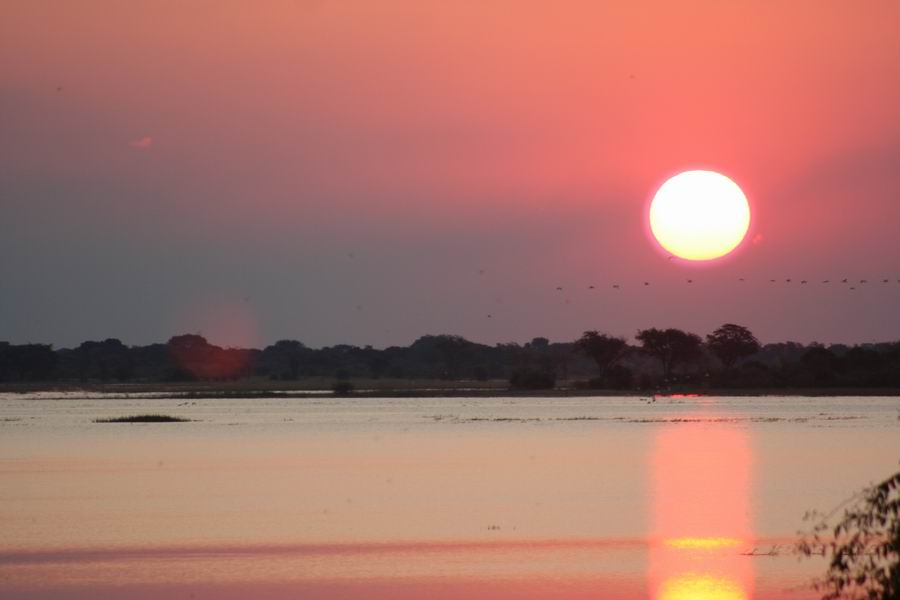 Chobe Sunset