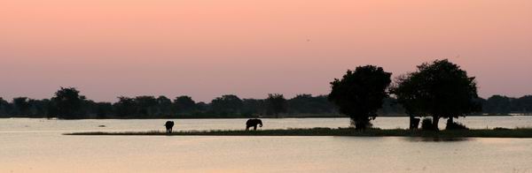 Sunset over the Chobe