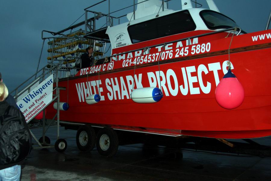 White Shark Projects Boat