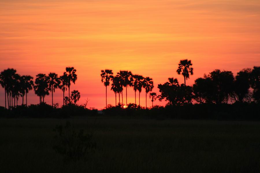 Sunrise at Selinda