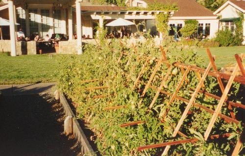 Brix Garden - KMB Photo