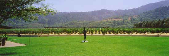 Mondavi Winery - KMB Photo