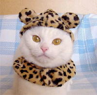 Leopard Costume