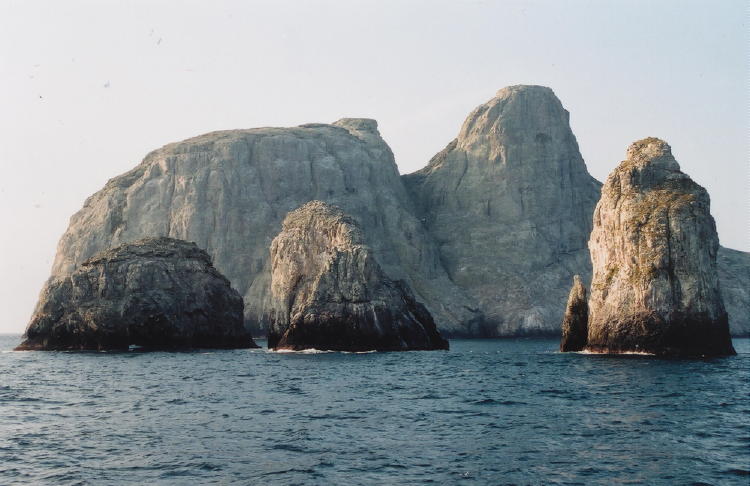 Malpelo