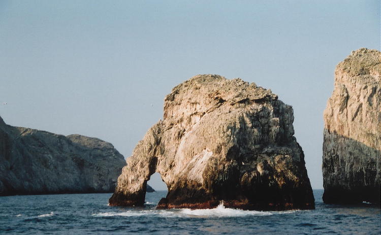 Malpelo