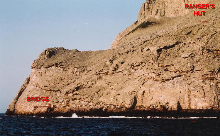 Malpelo