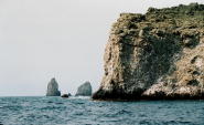 Malpelo