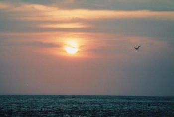 Sunset at Malpelo