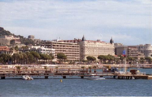 Cannes Harbor