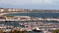 Cannes Harbor