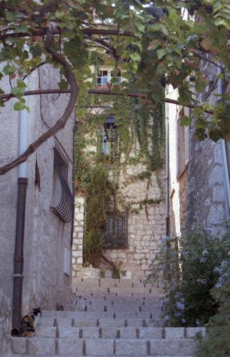 St Paul de Vence