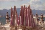 Beach Umbrellas