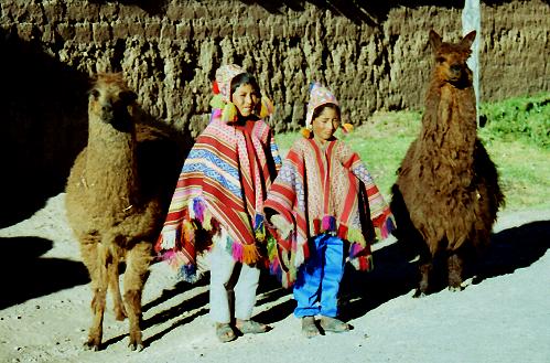 Llamas