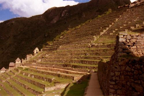 Machu Picchu