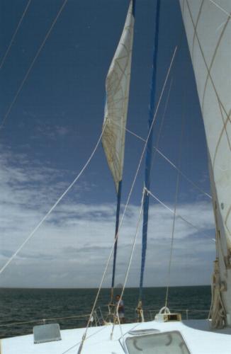 Sails Up