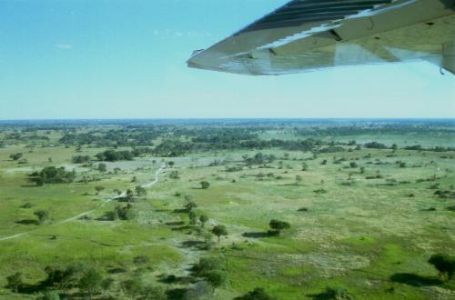 Okavango Delta