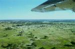 Okavango Delta