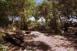 Kitchen at Wild Dog Camp