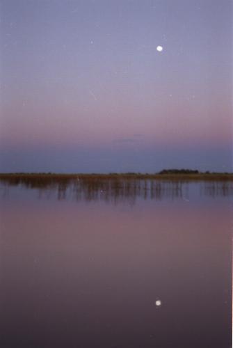 Moonrise at Uptree