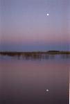 Moonrise at Uptree Camp