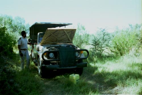 Obi Cooling Down the Jeep