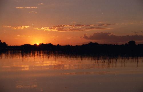 Sunset at Uptree