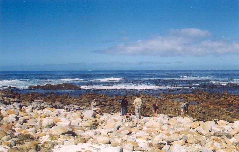 Cape of Good Hope