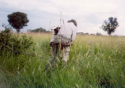 James Carrying Mark