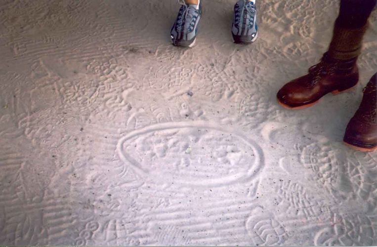 Leopard Tracks