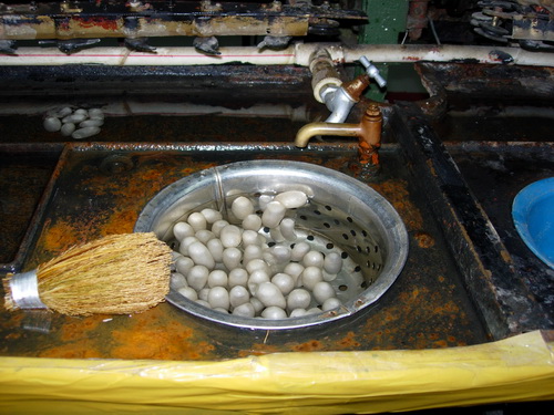 Silk Worms  China 2010