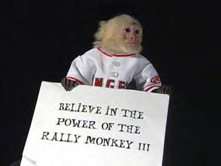 The Rally Monkey