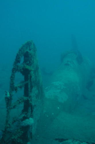 Japanese Zero Plane - MZ Photo