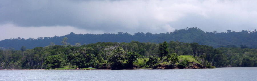 Beautiful PNG - KLM Photo