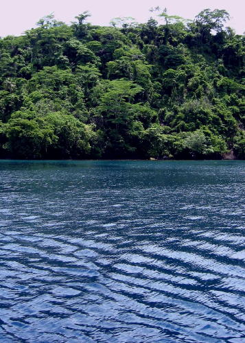 Wiray Bay - 'Shut up and get in the water.' - KLM Photo