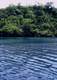 Wiray Bay - 'Shut up and get in the water.' - KLM Photo