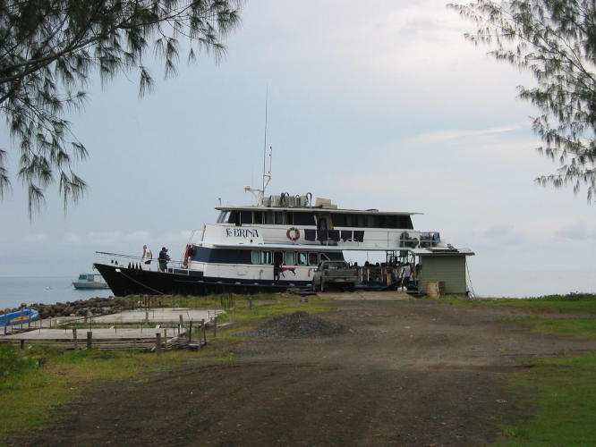 MV Febrina - KLM Photo