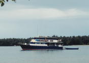 MV Febrina