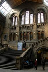 Natural History Museum