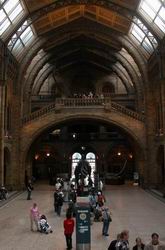 Natural History Museum