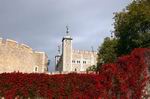 The Tower of London