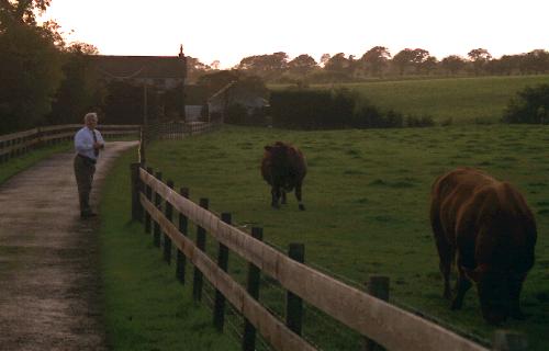 Jeff with the Hairy Cows