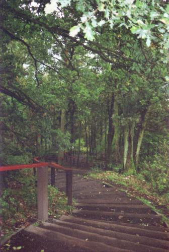 Path to Wallace Monument