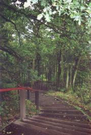 The climb up to Wallace Monument