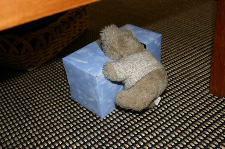 October 22, 2006, 10:50 a.m. - Den, halfway in box of Kleenex